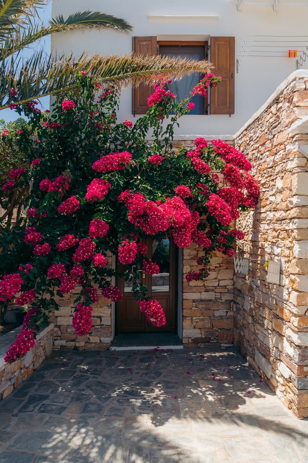 Loukia Apartments Artemonas Exterior foto